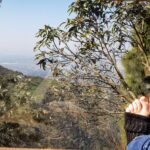 inspiration inde creation montagne