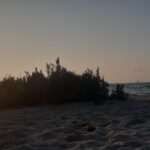 inspiration creation vent sable plage desert