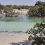 plage mangrove desert sable inspiration creation