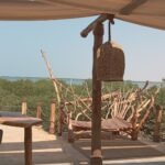 desert mer mangrove inspiration creation